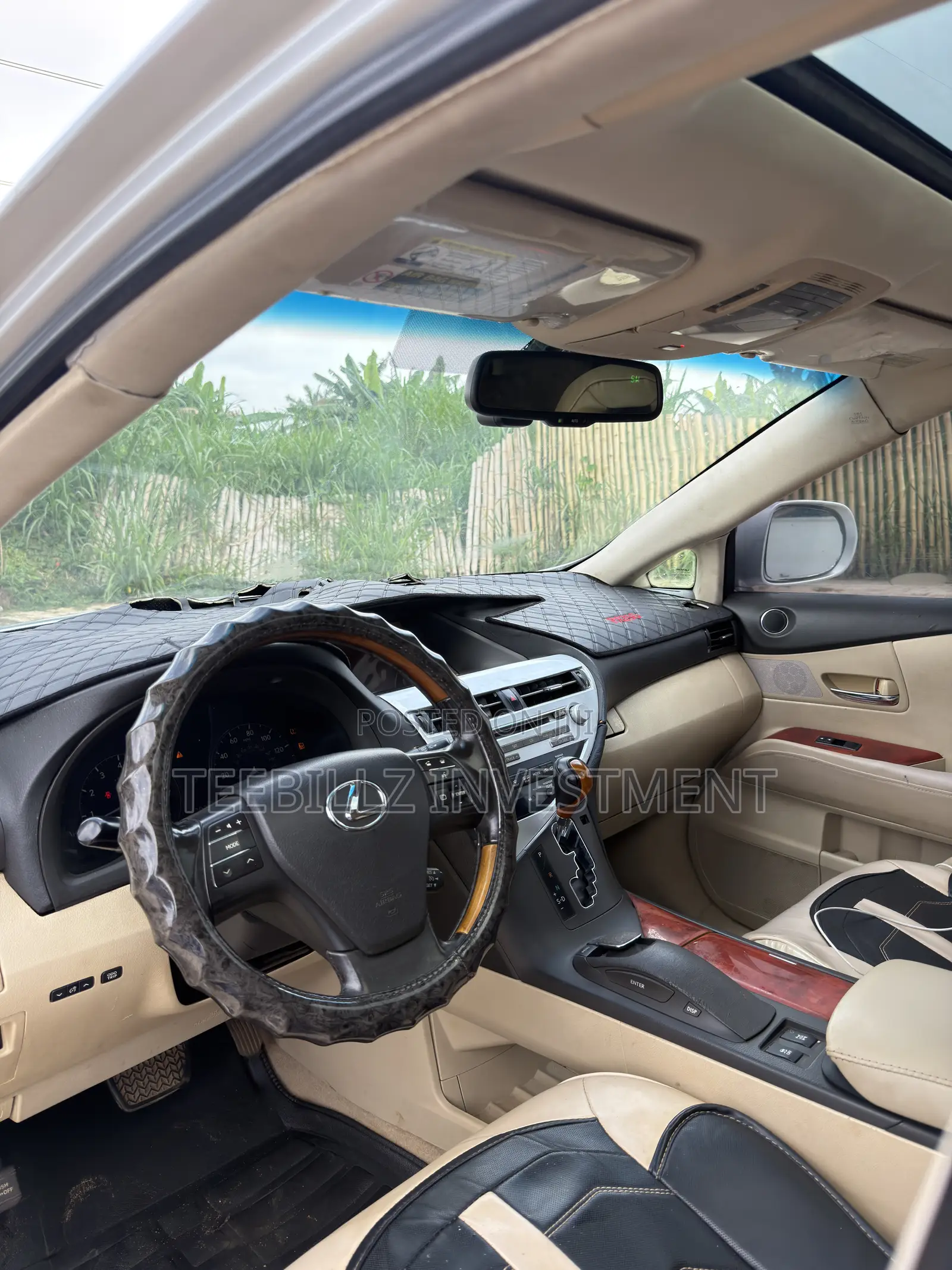 Lexus RX 350 2010 Silver