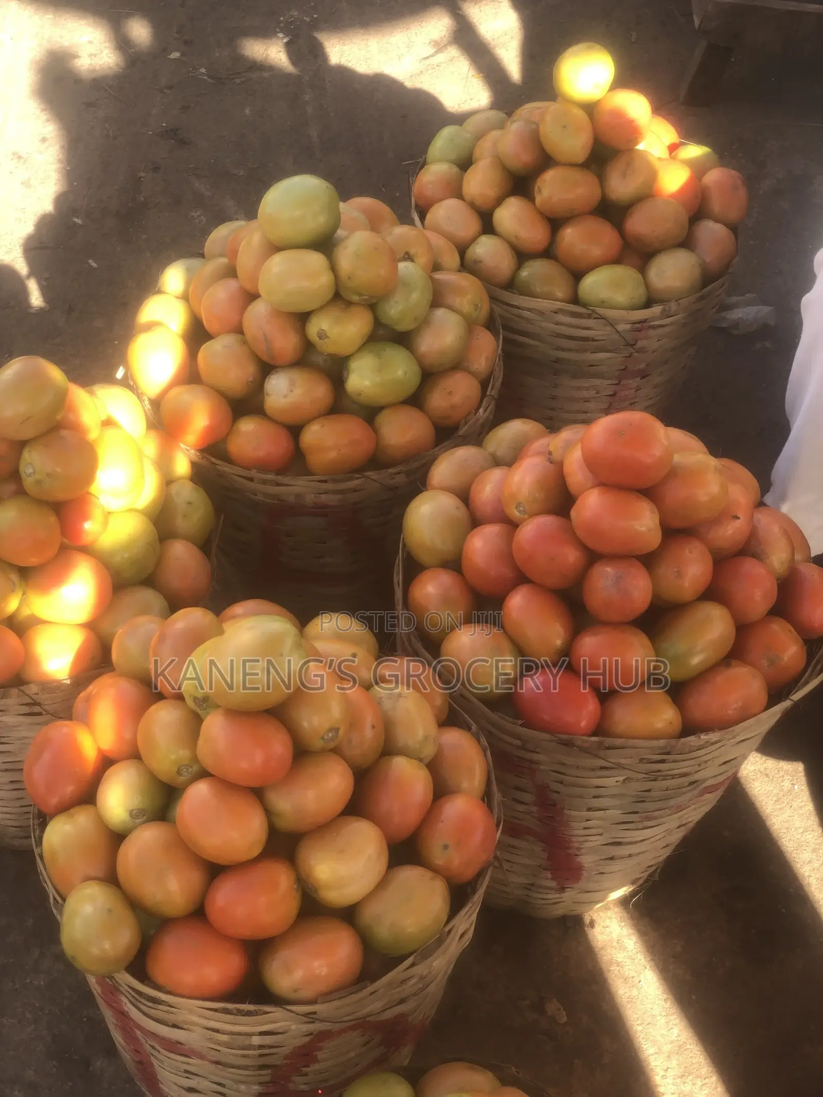 Utc Tomatoes