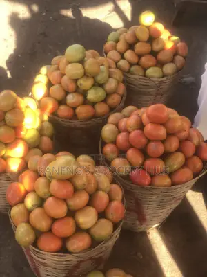Utc Tomatoes