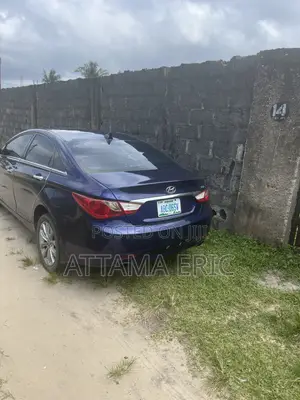 Hyundai Sonata 2011 Blue