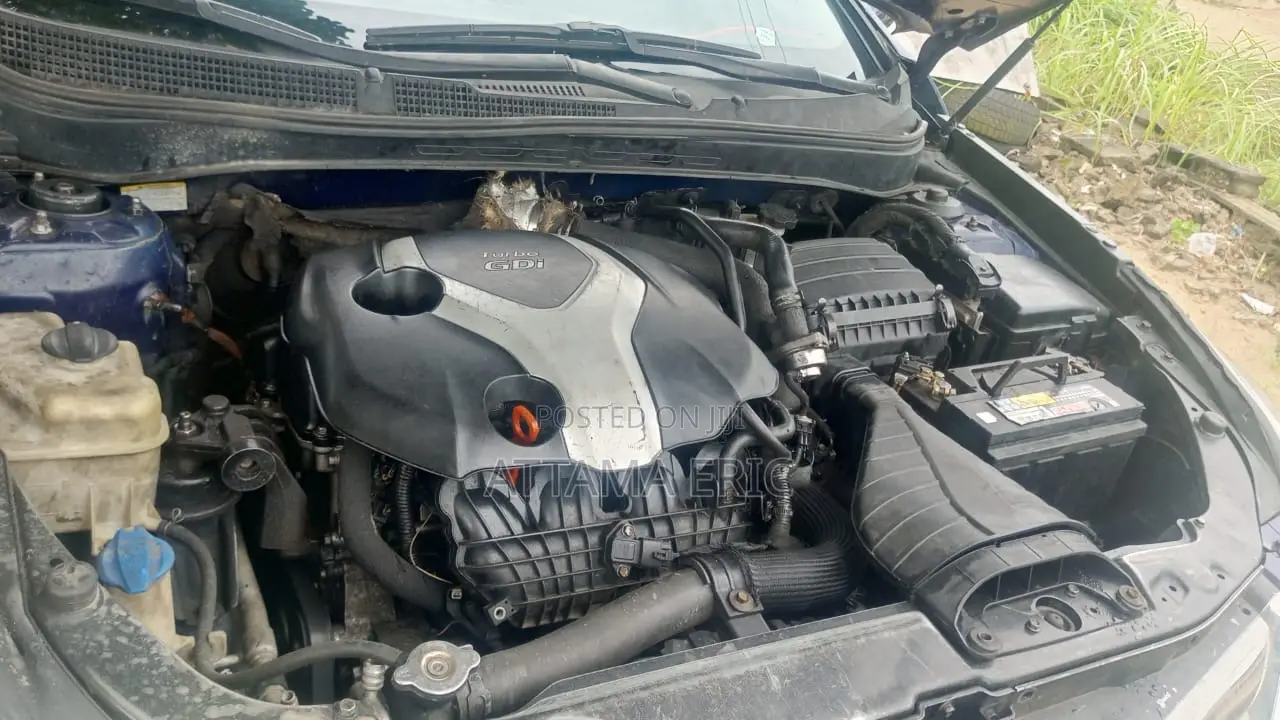 Hyundai Sonata 2011 Blue