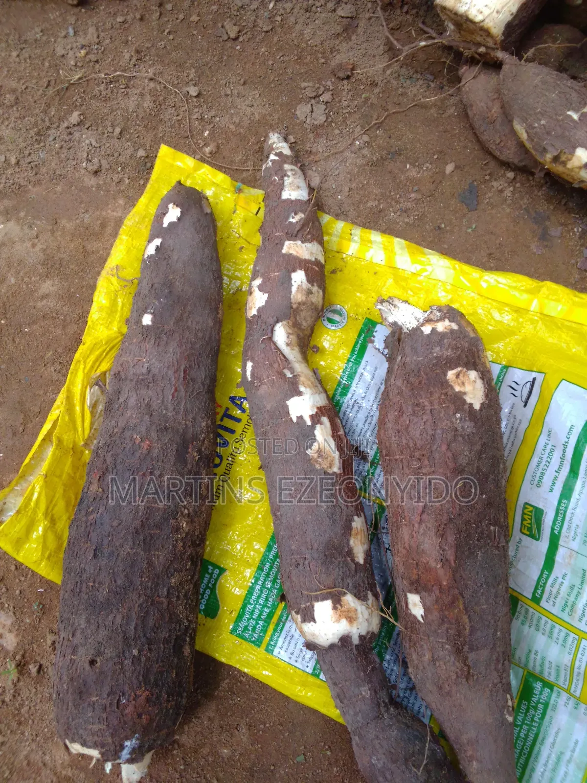 Pumpkin Seeds and Cassava