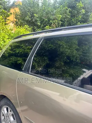Toyota Sienna XLE 2008 Gold