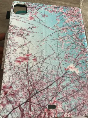 iPad Pro 11 Case
