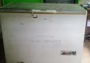 Big Deep Freezer -300l