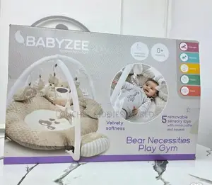 Baby Play Mat Gym