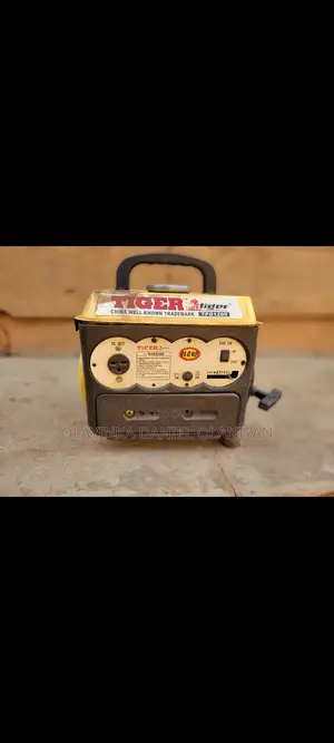 Fairly Used Tiger Generator