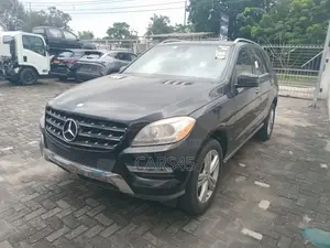 Mercedes-Benz M Class 2015 Black