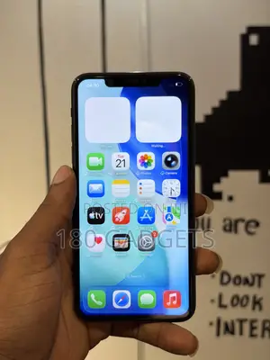 Apple iPhone 11 Pro Max 256 GB Black