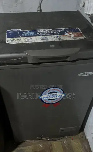 Standing Freezer
