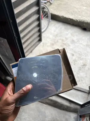 Side Mirror for ML CLASS