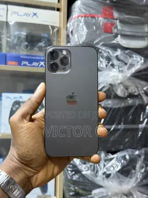 Apple iPhone 12 Pro Max 512 GB Gray