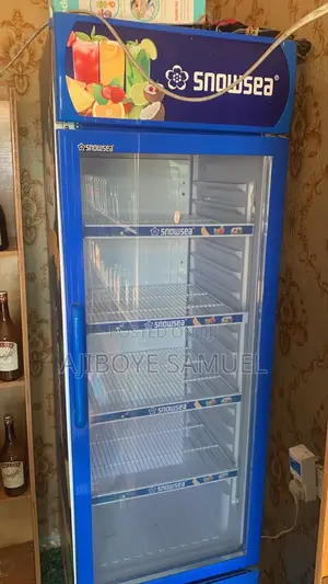 Snowsea Refrigerator 350 Liters for Sell