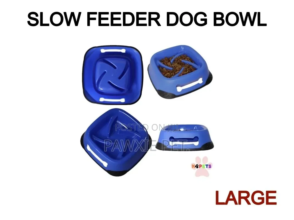 Plastic Bowl Slow Feeder (0117)