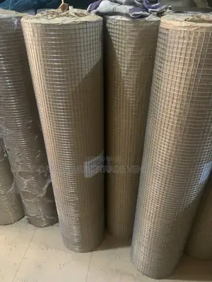 Galvanized Welded Wire Mesh