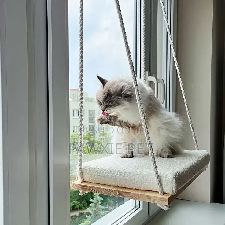 Paws Chicks Purr-Fect Perch