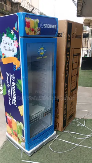 SNOWSEA LC-300W Drinks Display Cooler