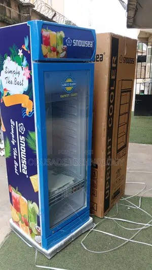 SNOWSEA LC-300W Drinks Display Cooler