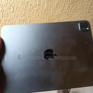 Apple iPad Pro 256 GB Gray