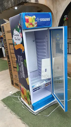 Upright Glass Door Cooler SNOWSEA 300L