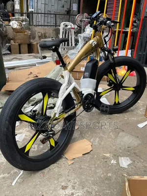Electric Bicycle American Fitness Big Tire Size 29