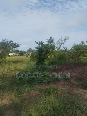 Bulk Land With CofO