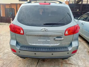 Hyundai Santa Fe 2009 Green