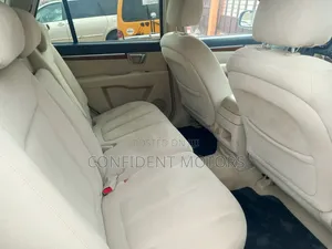 Hyundai Santa Fe 2009 Green