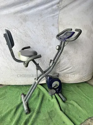 Seanlee Foldable Xbike