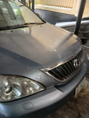 Lexus RX 2008 Blue