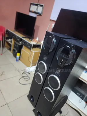 Big Silver Bird Home Theater