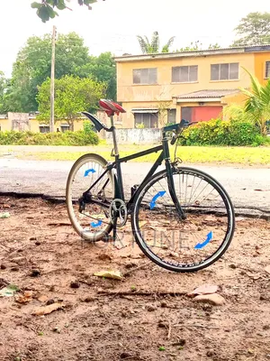 Sport Bicycle