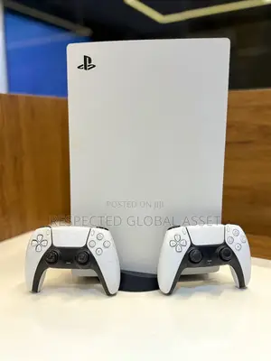 Ps 5 Fat Standards