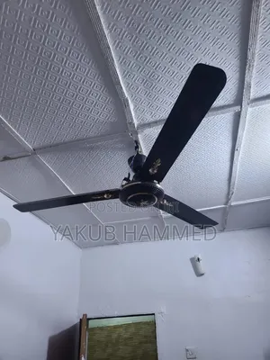Giant 60'' OX Ceiling Fans
