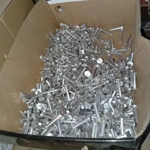 Rivet M6x30