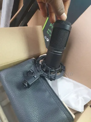 Professional Audio-Technica AT2035