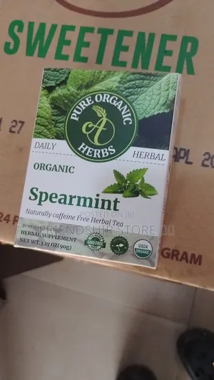 Organic Spearmint Tea 30 Bags