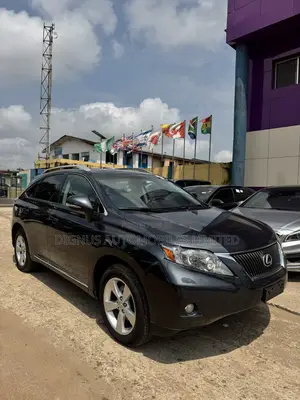Lexus RX 350 2010 Gray