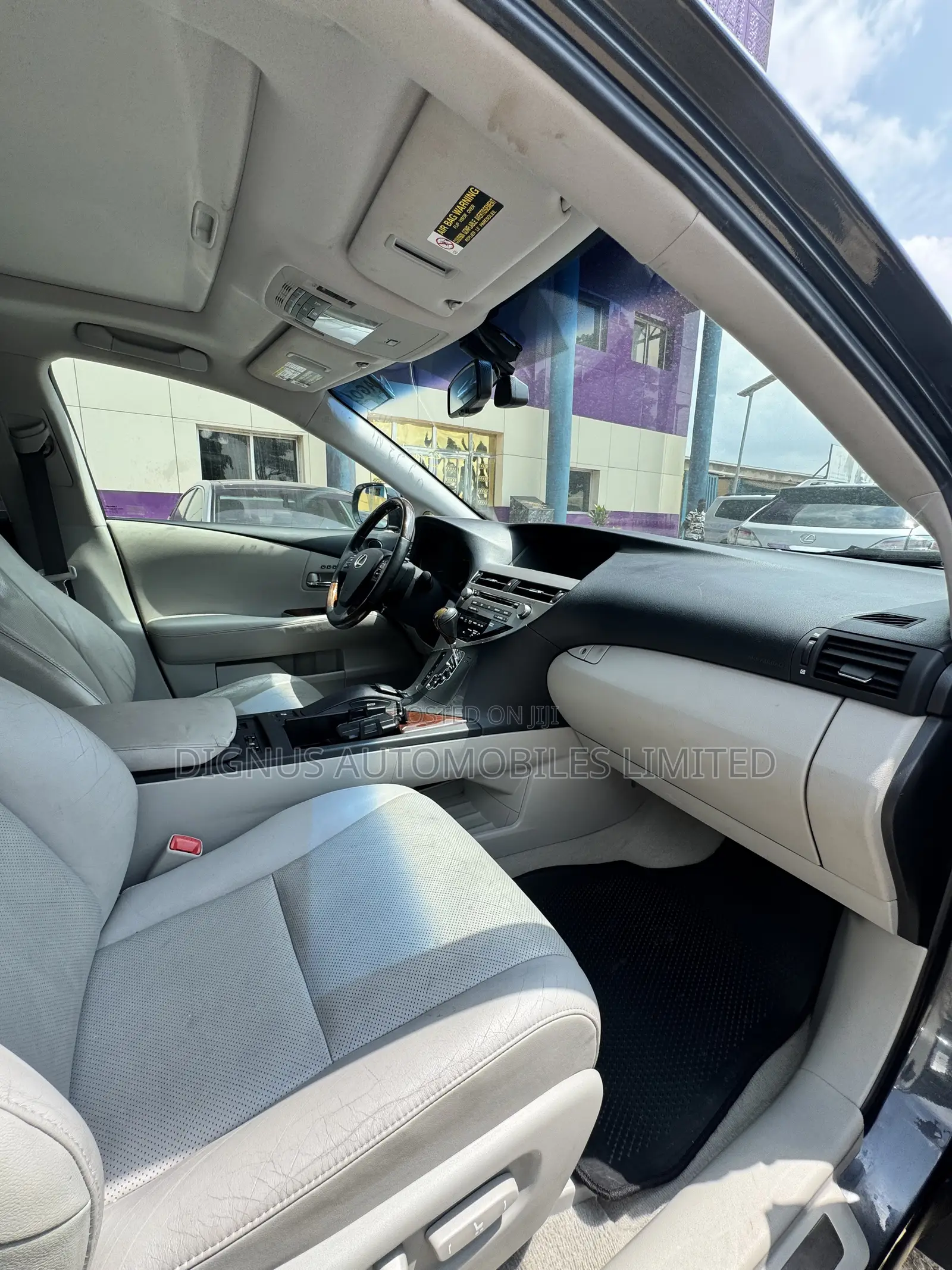 Lexus RX 350 2010 Gray
