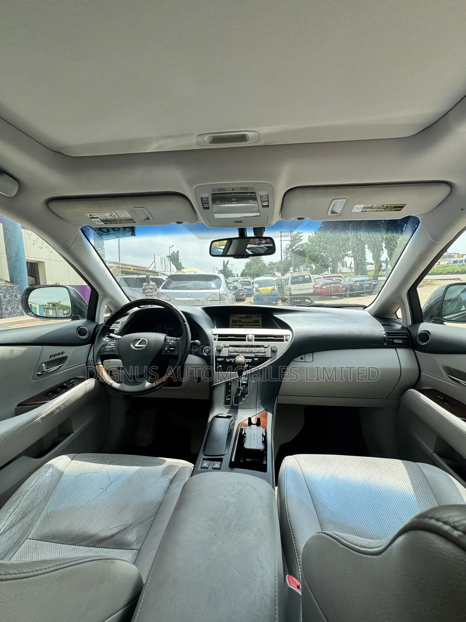 Lexus RX 350 2010 Gray