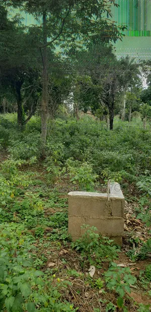 A Plot of Land for Sell at Oniyere Ake Bale After Boredun Town Osogbo