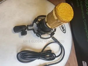Professional Bridsinger BM 800 Condenser Microphone