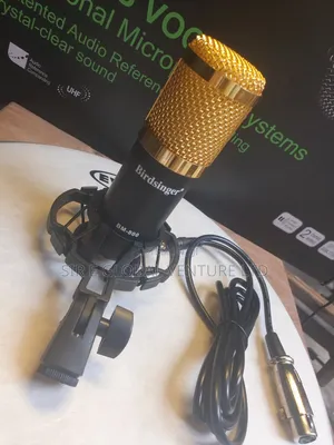 Professional Bridsinger BM 800 Condenser Microphone