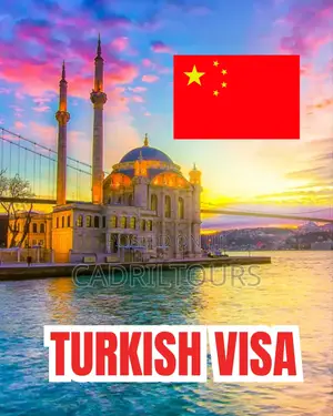 Visa Services