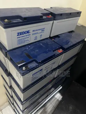 ZEDIX 12V 65Ah Deep Cycle Battery (VRLA Sealed Lead Acid)