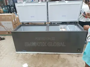 Hisense Biggest Double Door Deep Freezer