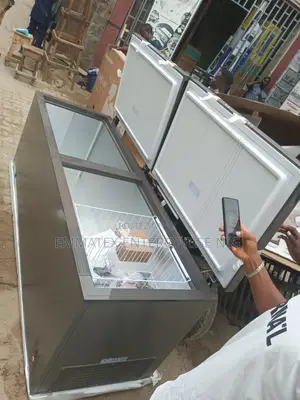 Fast Hisense Biggest Double Door Freezer
