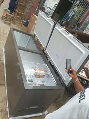 Fast Hisense Biggest Double Door Freezer