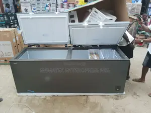 Fast Hisense Biggest Double Door Freezer