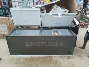 Fast Hisense Biggest Double Door Freezer
